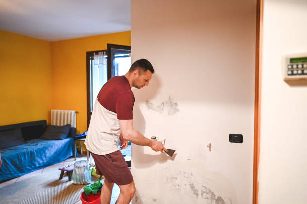 Best Local Mold Removal Service  in Navy Yard City, WA